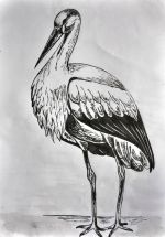 Bieliková Lucia.jpg